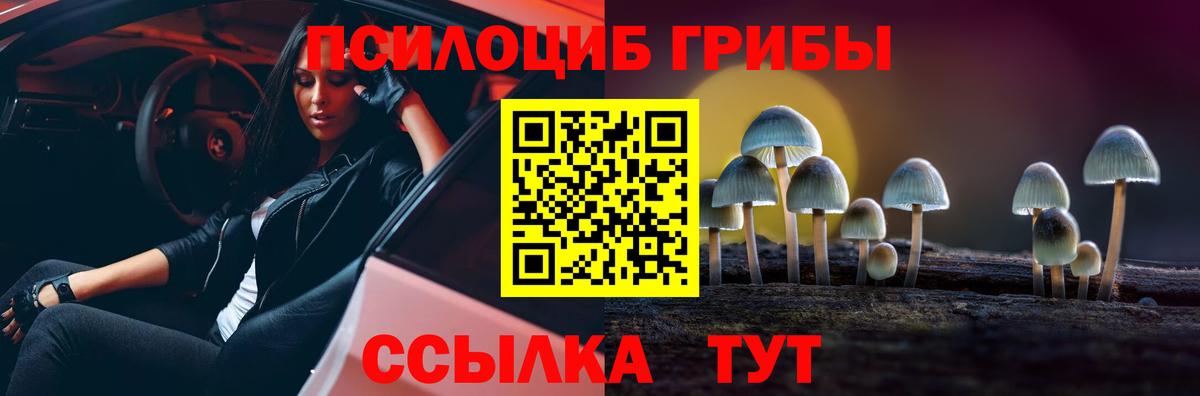 Псилоцибиновые грибы Cubensis Кунгур